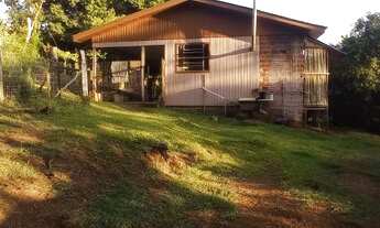 Imagem 4: Chácara com casa bastante sombra