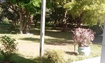 Imagem 3: Chácara de 10 hectares com Casa Sede de 350m² à Venda na BR 343 sentido Altos-PI