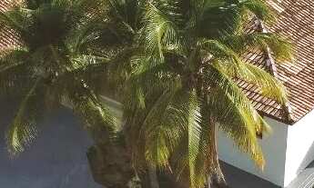 Imagem 3: Aluga-se casa em localização privilegiada no aparecida! entrada imediata!