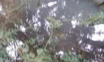 Imagem 4: Terreno 5 hectares