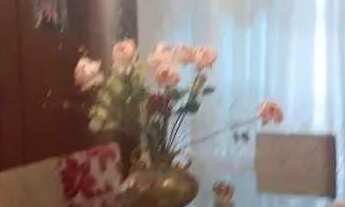 Imagem 4: Ótima casa térrea a venda Parque Continental São Paulo