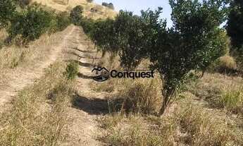 Imagem 4: Vendo Fazenda de 36 hectares com muita agua na Cidade de Moeda