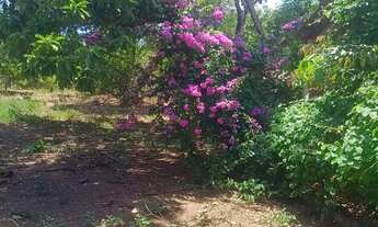 Imagem 7: Chácara para lazer no professor Jamil 2.860mt com Rio no fundo