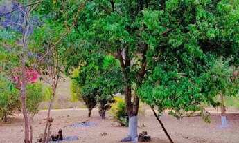 Imagem 4: Fazenda São Vicente Urucânia MG