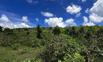 Imagem 2: Chácara em Vale Verde