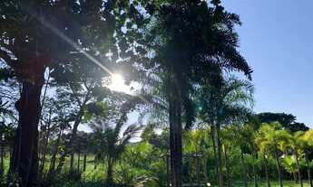 Imagem 4: Chácara em Varjão-Go