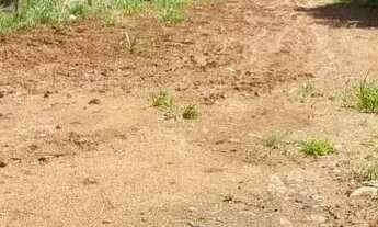 Imagem 3: Amplo Terreno 11 x 45m. Região Central de Canoas. R$ 280mil