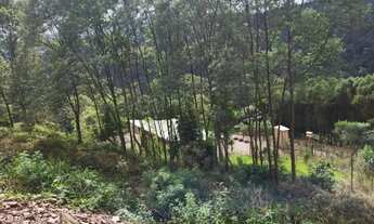 Imagem: Chácara Morro da Palha - 12.391 m² - Campo