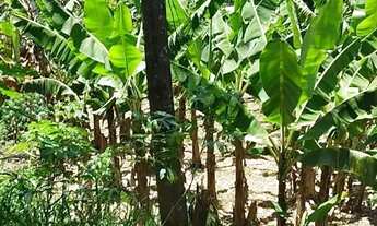 Imagem 3: Oportunidade Rara no Sana Terreno com 4.500 m² em Localização Privilegiada