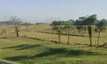 Imagem 2: Área na Rodovia Castelo Branco