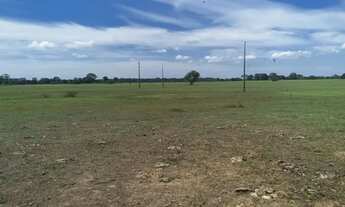 Imagem 7: Vendo terreno no pantanal Baía Siá Mariana