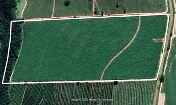 Imagem 2: Sítio com 93% em Cana em Floreal