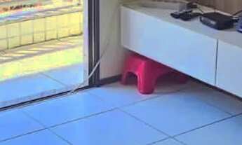 Imagem: Alugo apartamento mobiliado no calhau condomínio