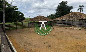 Imagem 6: Fazenda de 192 alq em Ipameri-GO