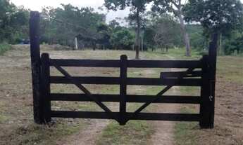 Imagem 2: CHÁCARA COXIPÓ DO OURO