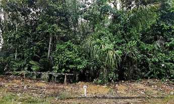 Imagem 2: Lote em condomínio Vivenda das Marinas bairro: tarumã 256.0M²