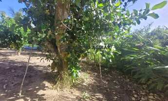 Imagem 7: Terreno à venda, Jardim das Acácias - São Pedro da Aldeia/RJ-R$150.000,00