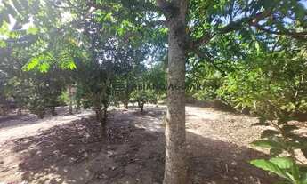 Imagem 4: Terreno à venda, Jardim das Acácias - São Pedro da Aldeia/RJ-R$150.000,00