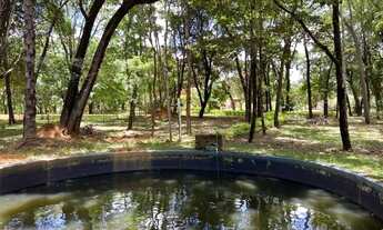 Imagem 2: Sitio 35.000m² com casa, espaço gourmet, agua correntes nos fundos, poço de peixes