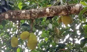 Imagem 7: Terreno Tatui Terreno / lote com venda por R$87.000