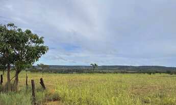 Imagem 6: A&M IMOVEIS VENDE EXELENTE FAZENDA EM CABECEIRA GRANDE ESCRITURADA