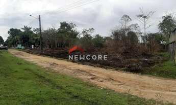 Imagem 2: Lote em - BR 174 - Manaus/AM