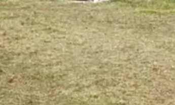 Imagem 2: Vendo Terreno - Boraceia - São Sebastião - SP