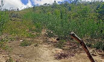 Imagem 5: Casa a venda Casa com 2 dormitórios