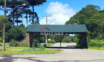 Imagem 5: Lote em Rua Bracatinga - Colinas - São Francisco de Paula/RS