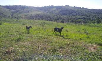 Imagem 3: Terreno na fazenda curimã em Itaporanga
