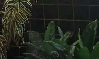 Imagem 7: Apartamento à venda no EDF. ÁGATA , JATIÚCA, Maceió, AL