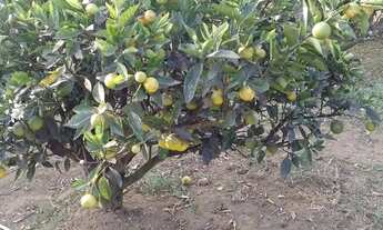Imagem 2: Chácara à venda, LAGEADINHO, Ibiúna, SP
