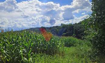 Imagem 6: Área de 36.400m para chácara com bosque e córrego em Catanduvas do Sul