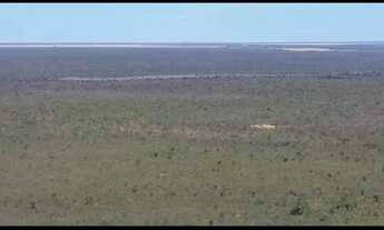 Imagem 3: FAZENDA À VENDA - SÃO FÉLIX DO CORIBE / BA