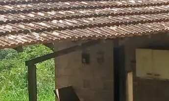 Imagem 6: Casas ,café mecanizados