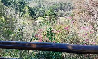 Imagem 4: Fazenda/Sítio/Chácara para venda possui 19000 metros quadrados com 2 quartos