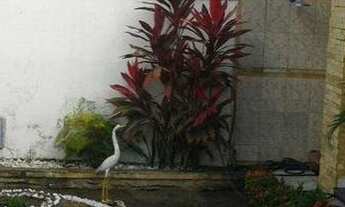 Imagem 3: Alugo Casa na principal do Aeroporto - Bayeux