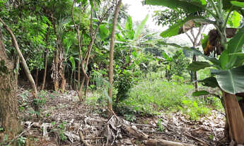 Imagem 3: Chácaras no Horto Baratinha