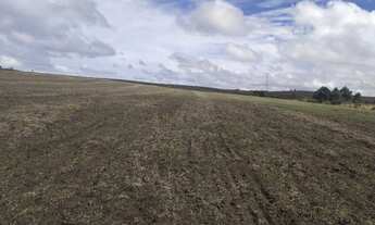 Imagem: Area em Tibagi PR