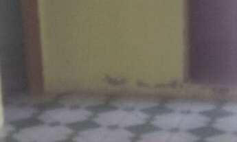 Imagem 3: Casa Grande com 3 quartos . Centro Sfilho Barreiro