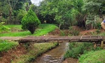Imagem 5: Vendo chácara com lagoa e nascente em Igarapé