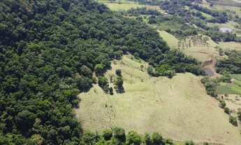 Imagem 5: Propiedadade 5 alqueires á 1 km rodovia Castelo Branco só terra