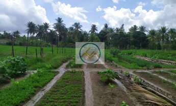 Imagem 5: Chácara à venda com 2,4 ha, Estância/SE