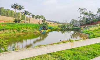 Imagem 5: Sítio Córrego São João, Zona Rural, Viçosa MG