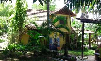 Imagem: PURA NATUREZA