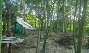 Imagem 3: Vendo casa 02 andares com terreno de 2.500 metros quadrados