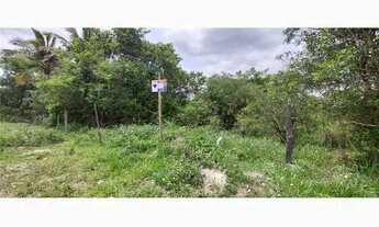 Imagem: Chácara com 1 dormitório à venda, 3691