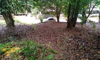 Imagem 2: Terreno avenda no porto grande