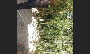 Imagem 5: Vendo Casa Casa com 5 dormitórios