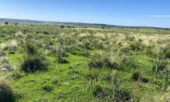 Imagem 2: Campo 62 hectares